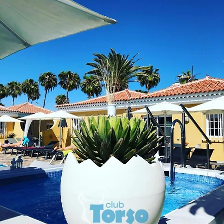 Club Torso Gay Men Only Μασπαλόμας