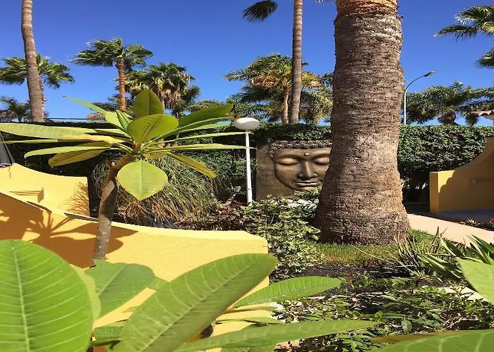 Club Torso Gay Men Only 4* Maspalomas (Gran Canaria)