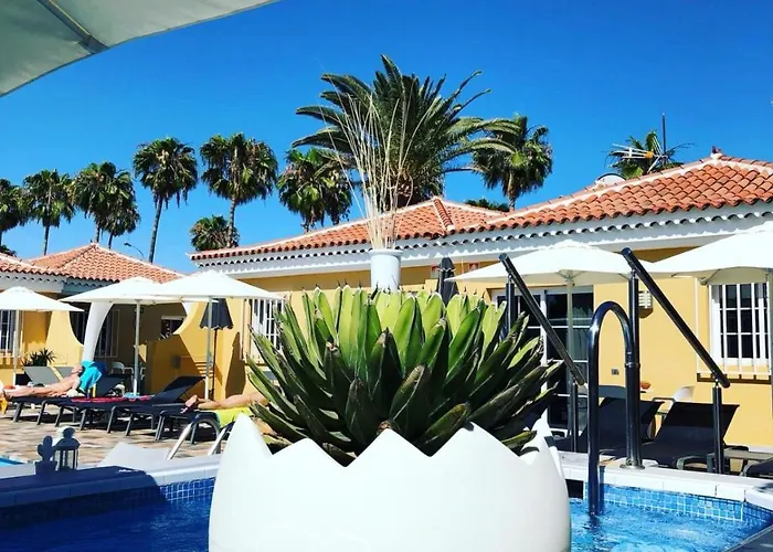 Club Torso Gay Men Only Maspalomas (Gran Canaria)