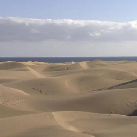 Feriested Club Torso Gay Men Only Maspalomas (Gran Canaria)